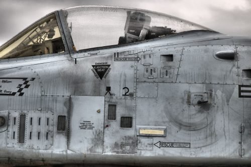 WARTHOG