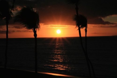 CONDO SUNSETS