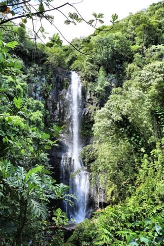 MAUI WATERFALL