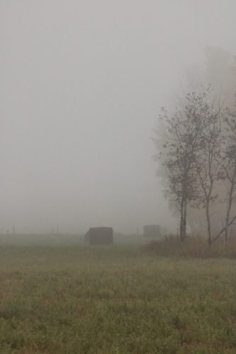 FOG SEPT