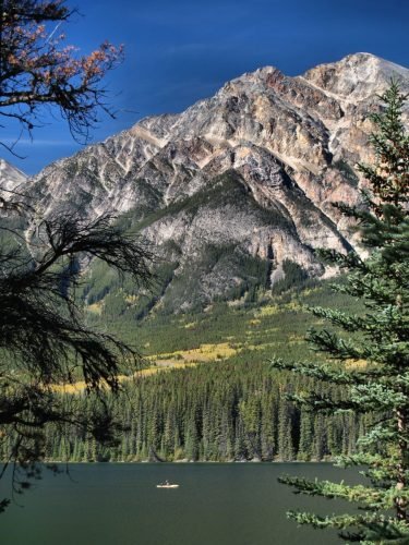 PYRAMID LAKE THROUGH THE TREES