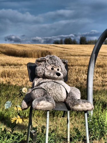 TEDDY