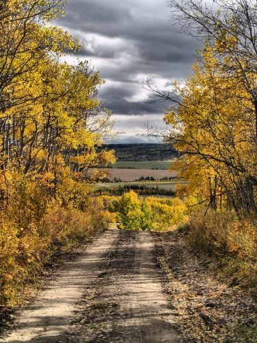 THE PATH II