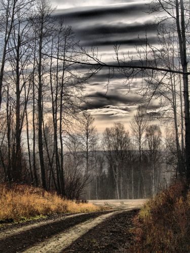 THE PATH