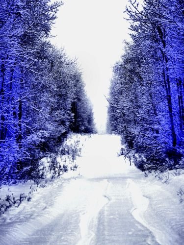 WINTER BLUES