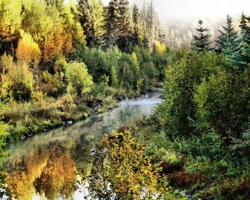 CREEKS BEND