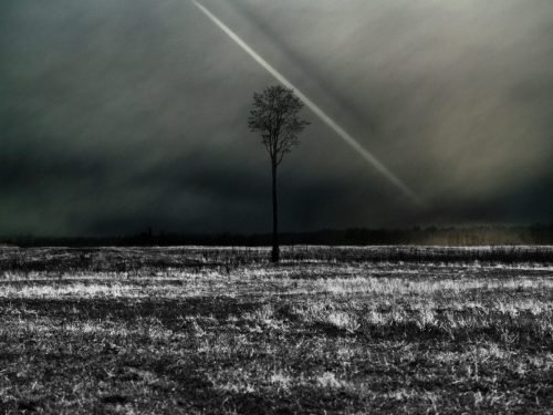 DARK LONELY DAYS
