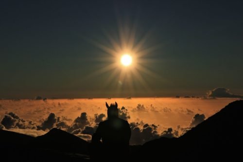 HALEAKALA HORSEMAN
