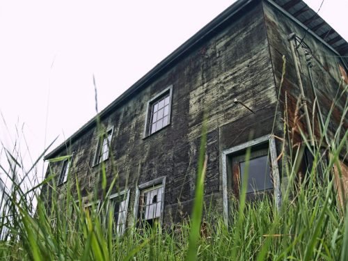 PLYWOOD BUILDING