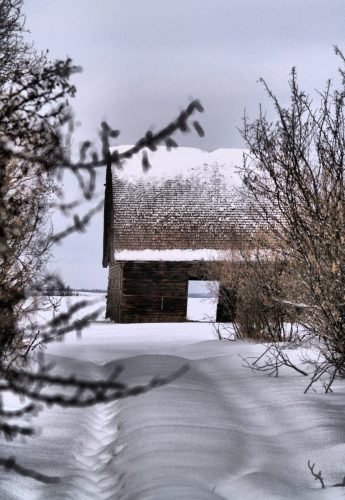 WINTER BARN